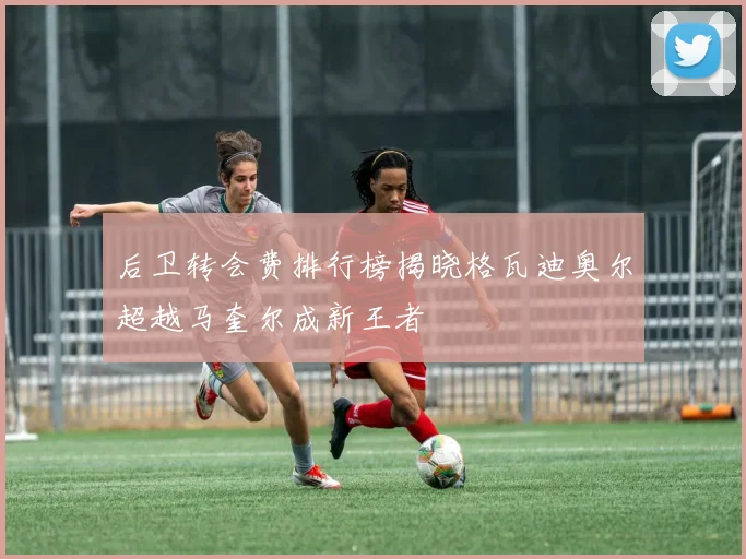 后卫转会费排行榜揭晓格瓦迪奥尔超越马奎尔成新王者